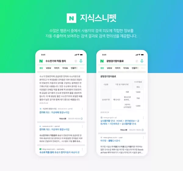 Naver Knowledge panel