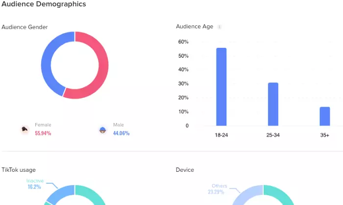 tiktok audience demographics