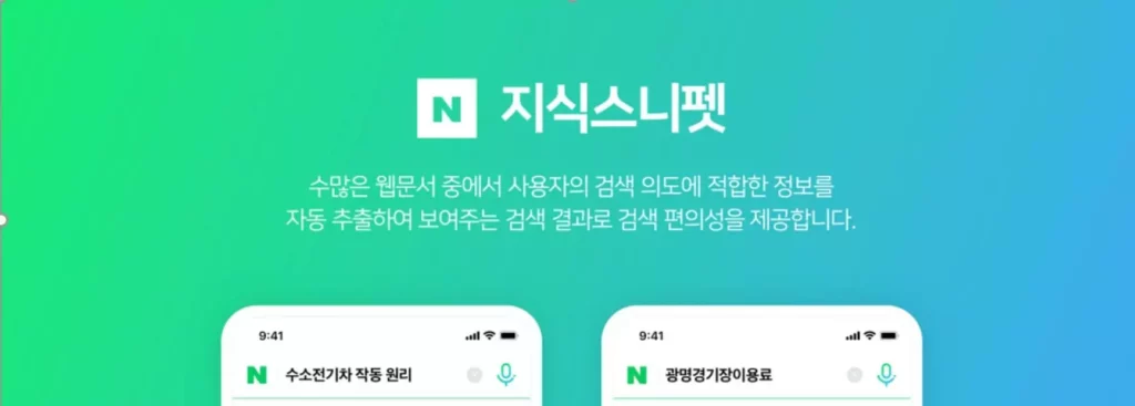 Naver Knowledge Snippet