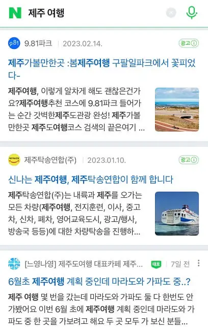 Naver View SERP - Jeju travel